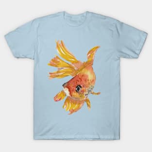 Beautiful orange swimming goldfish T-Shirt